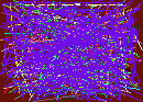 phone trace